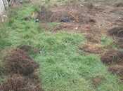 Продаётся  участок 6.5 сот, пос. Бадамдар, photo 2 from 4