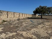 Продаётся  участок 100 сот, пос. Шувеляны, photo 2 from 4