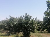 Продаётся  участок 100 сот, photo 3 from 4