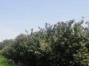 Продаётся  участок 100 сот, photo 4 from 4