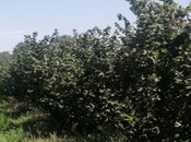 Объявление №5874483 - Худат, Худат, 100 сот