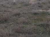 Продаётся  участок 3 сот, пос. Ени Сураханы, photo 3 from 4