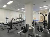 Продаётся  объект 260 м², Сабаильский р., photo 5 from 8