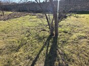 Продаётся  участок 6 сот, photo 2 from 4