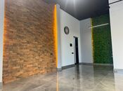 Сдаётся  объект 55 м², м. Низами, photo 4 from 8