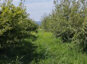 Satılır  torpaq 115 sot, photo 5 from 8