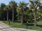 Сдаётся 4-комн. дом/дача 250 м², пос. Тюркан, photo 2 from 8