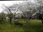 Продаётся 6-комн. дом/дача 300 м², photo 4 from 6