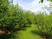 Продаётся 4-комн. дом/дача 120 м², photo 8 from 8