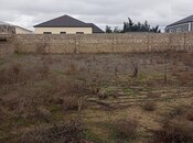 Объявление №5875790 - Баку, пос. Зире, 5.5 сот