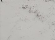 Продаётся  участок 6 сот, photo 7 from 7