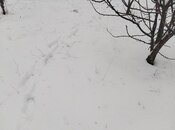 Продаётся  участок 6 сот, photo 6 from 7