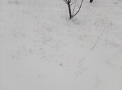 Продаётся  участок 6 сот, photo 4 from 7