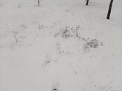 Elan №5876387 - Şamaxı, Şamaxı, 6 sot