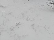 Продаётся  участок 6 сот, photo 3 from 7