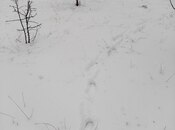 Продаётся  участок 6 сот, photo 2 from 7