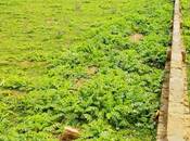 Satılır  torpaq 100 sot, Fatmayı q., photo 5 from 5