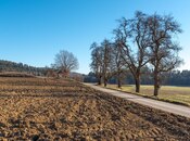 Elan №5876675 - Bakı, Qaraçuxur q., 1.4 sot