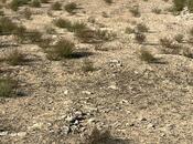 Satılır  torpaq 12 sot, Dübəndi q., photo 3 from 3