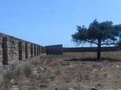 Продаётся  участок 100 сот, пос. Шувеляны, photo 1 from 4