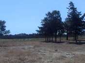 Продаётся  участок 100 сот, пос. Шувеляны, photo 2 from 4