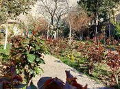 Satılır 5 otaqlı həyət evi/bağ evi 100 m², Azadlıq Prospekti m., photo 2 from 4