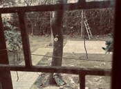 Продаётся 3-комн. вторичка 140 м², Наримановский  р., photo 3 from 8