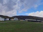 Satılır  obyekt 300 m², photo 2 from 8