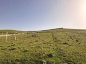 Продаётся  участок 10 сот, пос. Горадил, photo 5 from 6