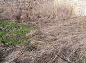 Объявление №5880156 - Баку, пос. Сулутепе, 6 сот