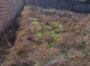 Продаётся  участок 6 сот, пос. Сулутепе, photo 2 from 4