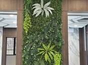 Сдаётся  объект 100 м², м. Шах Исмаил Хатаи, photo 4 from 8