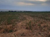 Satılır  torpaq 50 sot, photo 4 from 4