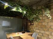 Сдаётся  объект 400 м², м. Ичеришехер, photo 2 from 4