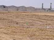 Продаётся  участок 200 сот, пос. Мамедли, photo 2 from 6