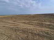 Продаётся  участок 200 сот, пос. Мамедли, photo 6 from 6