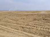 Продаётся  участок 200 сот, пос. Мамедли, photo 3 from 6