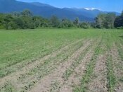 Продаётся  участок 100 сот, photo 2 from 3