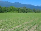 Продаётся  участок 100 сот, photo 3 from 3