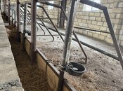 Satılır  obyekt 3 000 m², photo 4 from 8