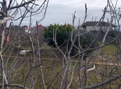 Продаётся  участок 12 сот, пос. Вишнёвка, photo 7 from 8