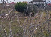 Продаётся  участок 12 сот, пос. Вишнёвка, photo 8 from 8