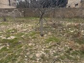 Продаётся  участок 2 сот, пос. Горадил, photo 3 from 4