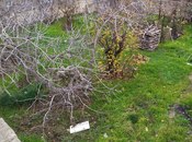 Объявление №5883286 - Баку, пос. Сулутепе, 4 сот