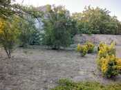 Продаётся 3-комн. дом/дача 65 м², Абшеронcкий  р., photo 8 from 8