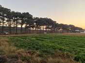 Elan №5884211 - Bakı, Maştağa q., 100 sot