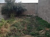 Satılır 3 otaqlı həyət evi/bağ evi 600 m², Puta q., photo 8 from 8