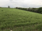 Elan №5884549 - Quba, Quba, 130 sot