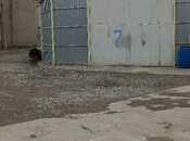 Elan №5884674 - Bakı, Binəqədi q., 185 m²