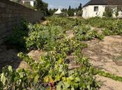 Продаётся  участок 12 сот, Сабунчинский  р., photo 4 from 7